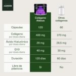 Imagen1