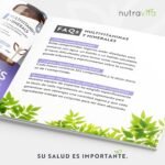 Imagen2
