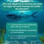 Imagen3
