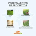 Imagen4